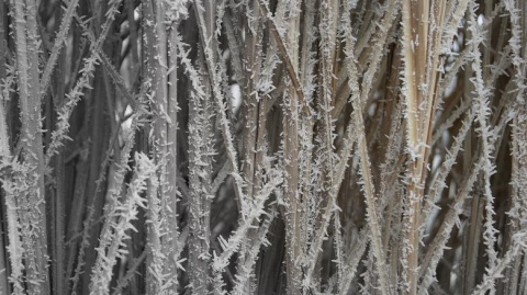 Kliknij na zdjęcie, żeby zobaczyć w pełnych wymiarach