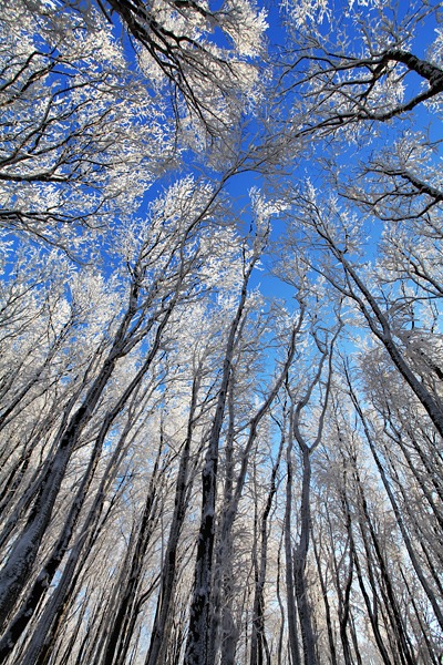 Kliknij na zdjęcie, żeby zobaczyć w pełnych wymiarach