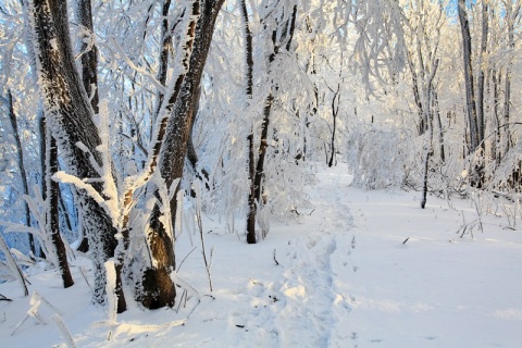 Kliknij na zdjęcie, żeby zobaczyć w pełnych wymiarach