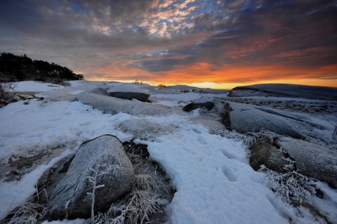 Kliknij na zdjęcie, żeby zobaczyć w pełnych wymiarach