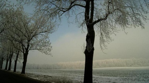 Kliknij na zdjęcie, żeby zobaczyć w pełnych wymiarach