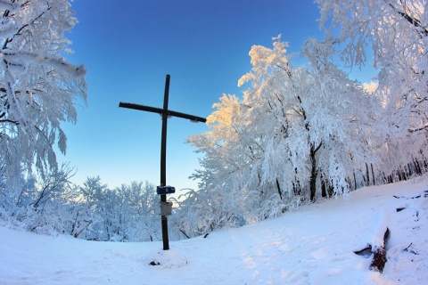 Kliknij na zdjęcie, żeby zobaczyć w pełnych wymiarach