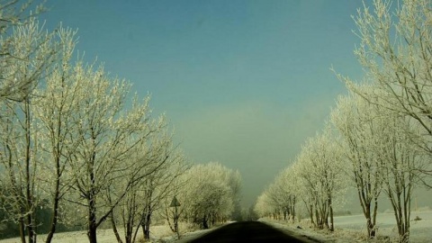 Kliknij na zdjęcie, żeby zobaczyć w pełnych wymiarach