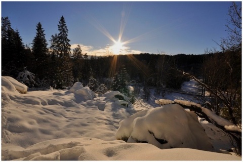Kliknij na zdjęcie, żeby zobaczyć w pełnych wymiarach