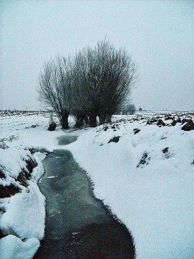 Kliknij na zdjęcie, żeby zobaczyć w pełnych wymiarach