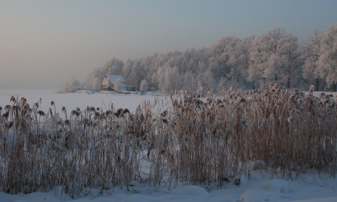 Kliknij na zdjęcie, żeby zobaczyć w pełnych wymiarach