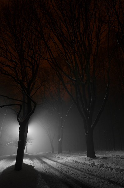 Kliknij na zdjęcie, żeby zobaczyć w pełnych wymiarach