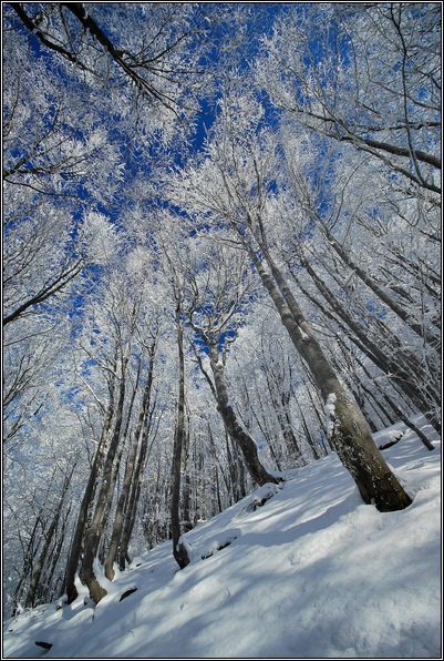 Kliknij na zdjęcie, żeby zobaczyć w pełnych wymiarach