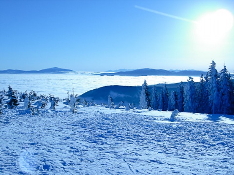 Kliknij na zdjęcie, żeby zobaczyć w pełnych wymiarach