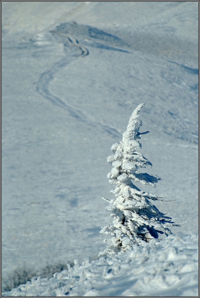 Kliknij na zdjęcie, żeby zobaczyć w pełnych wymiarach