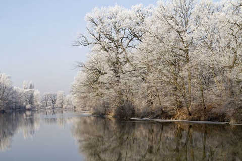 Kliknij na zdjęcie, żeby zobaczyć w pełnych wymiarach