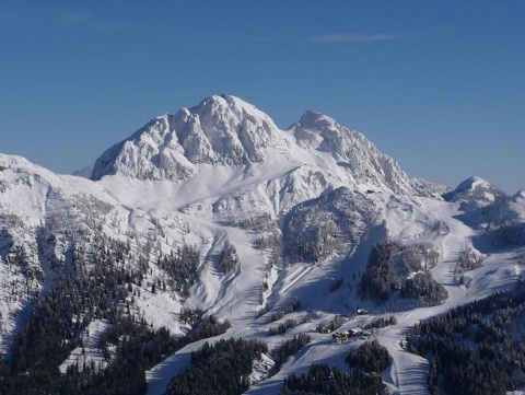 Kliknij na zdjęcie, żeby zobaczyć w pełnych wymiarach
