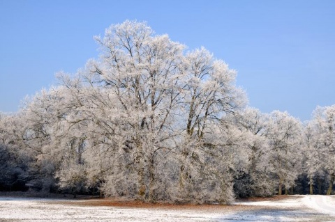 Kliknij na zdjęcie, żeby zobaczyć w pełnych wymiarach