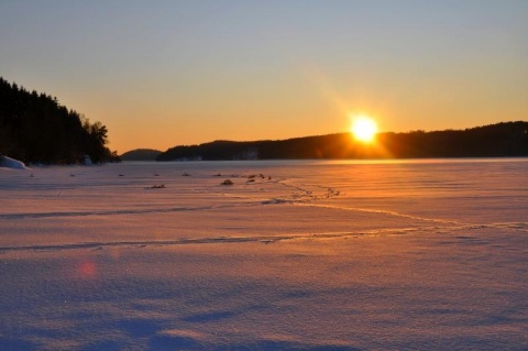 Kliknij na zdjęcie, żeby zobaczyć w pełnych wymiarach