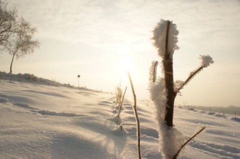 Kliknij na zdjęcie, żeby zobaczyć w pełnych wymiarach