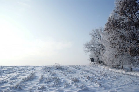 Kliknij na zdjęcie, żeby zobaczyć w pełnych wymiarach