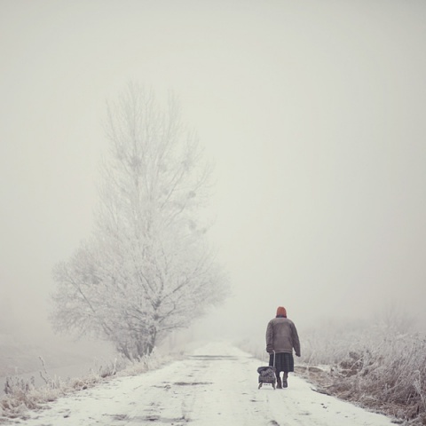 Kliknij na zdjęcie, żeby zobaczyć w pełnych wymiarach