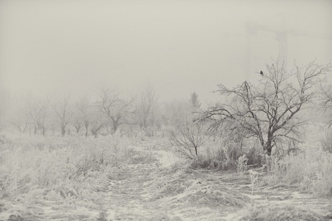 Kliknij na zdjęcie, żeby zobaczyć w pełnych wymiarach