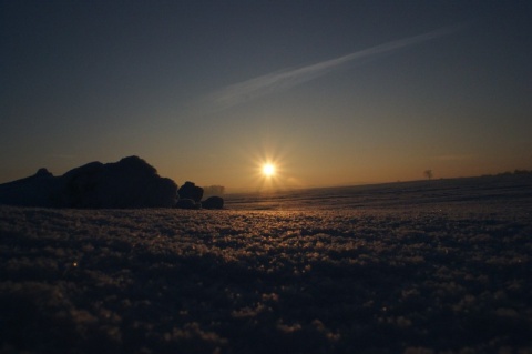 Kliknij na zdjęcie, żeby zobaczyć w pełnych wymiarach