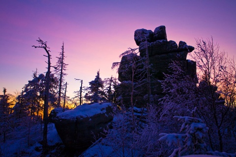 Kliknij na zdjęcie, żeby zobaczyć w pełnych wymiarach