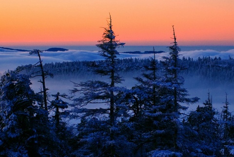 Kliknij na zdjęcie, żeby zobaczyć w pełnych wymiarach