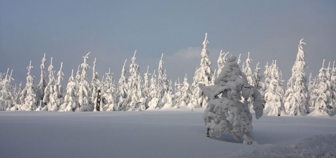 Kliknij na zdjęcie, żeby zobaczyć w pełnych wymiarach