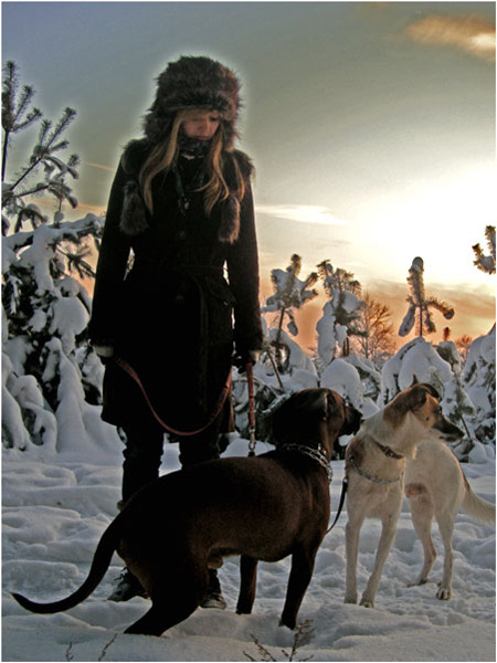 Kliknij na zdjęcie, żeby zobaczyć w pełnych wymiarach