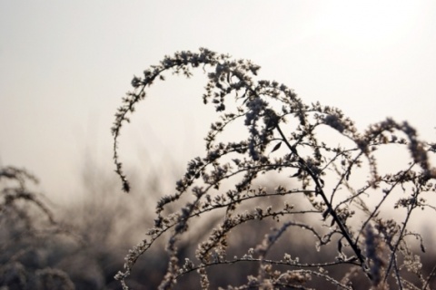 Kliknij na zdjęcie, żeby zobaczyć w pełnych wymiarach