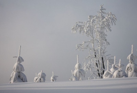 Kliknij na zdjęcie, żeby zobaczyć w pełnych wymiarach