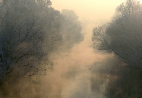 Kliknij na zdjęcie, żeby zobaczyć w pełnych wymiarach