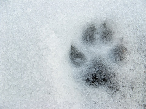 Kliknij na zdjęcie, żeby zobaczyć w pełnych wymiarach