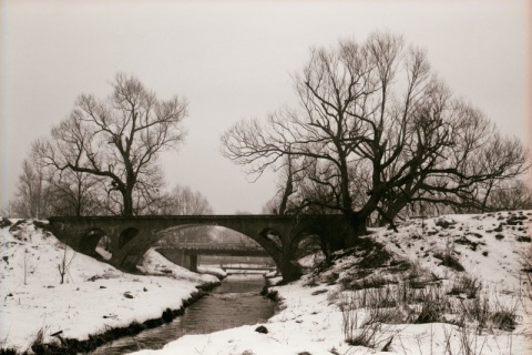 Kliknij na zdjęcie, żeby zobaczyć w pełnych wymiarach