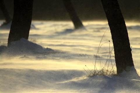 Kliknij na zdjęcie, żeby zobaczyć w pełnych wymiarach