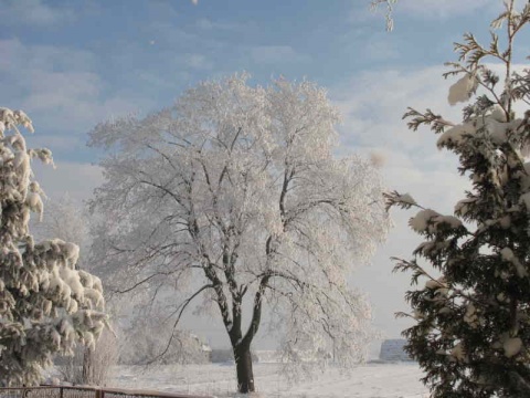 Kliknij na zdjęcie, żeby zobaczyć w pełnych wymiarach