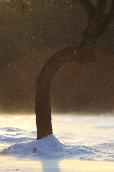 Kliknij na zdjęcie, żeby zobaczyć w pełnych wymiarach