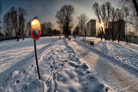 Kliknij na zdjęcie, żeby zobaczyć w pełnych wymiarach