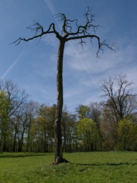 Kliknij na zdjęcie, żeby zobaczyć w pełnych wymiarach