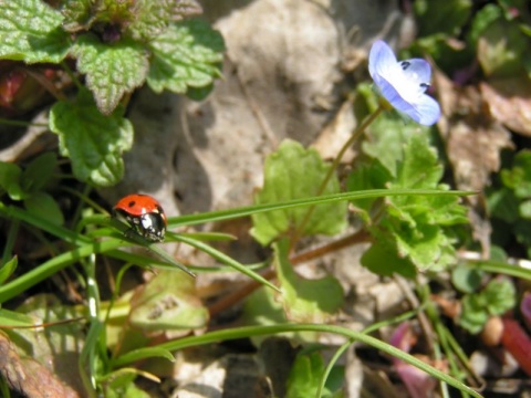 Kliknij na zdjęcie, żeby zobaczyć w pełnych wymiarach