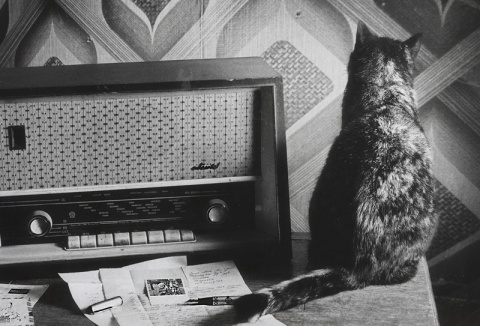 Kliknij na zdjęcie, żeby zobaczyć w pełnych wymiarach