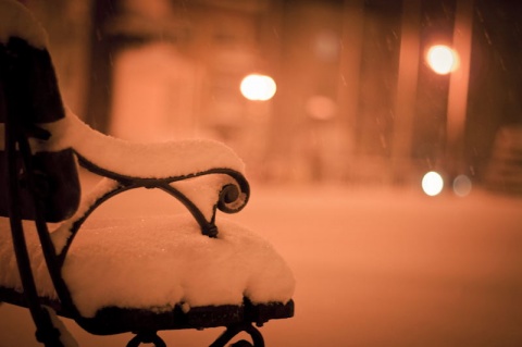 Kliknij na zdjęcie, żeby zobaczyć w pełnych wymiarach