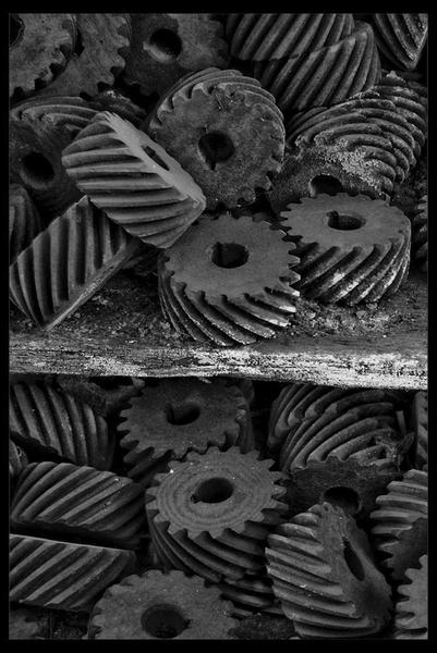 Kliknij na zdjęcie, żeby zobaczyć w pełnych wymiarach