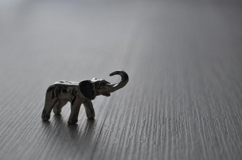 Kliknij na zdjęcie, żeby zobaczyć w pełnych wymiarach