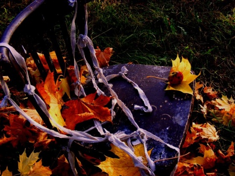 Kliknij na zdjęcie, żeby zobaczyć w pełnych wymiarach