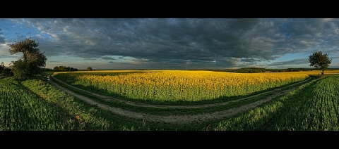 Kliknij na zdjęcie, żeby zobaczyć w pełnych wymiarach