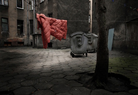 Kliknij na zdjęcie, żeby zobaczyć w pełnych wymiarach