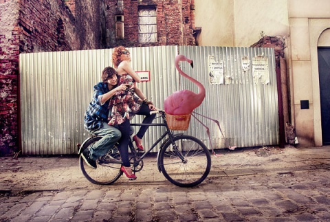 Kliknij na zdjęcie, żeby zobaczyć w pełnych wymiarach