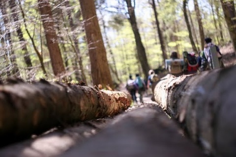 Kliknij na zdjęcie, żeby zobaczyć w pełnych wymiarach