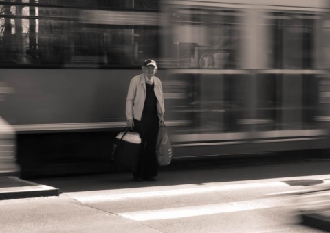 Kliknij na zdjęcie, żeby zobaczyć w pełnych wymiarach