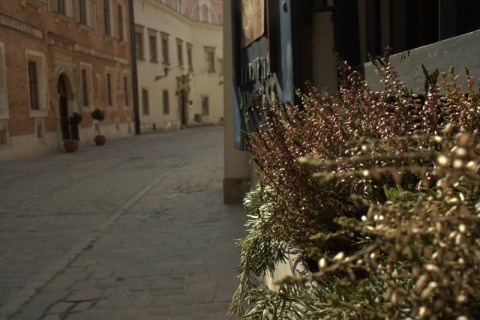 Kliknij na zdjęcie, żeby zobaczyć w pełnych wymiarach