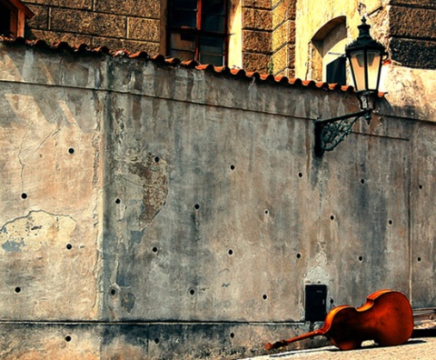 Kliknij na zdjęcie, żeby zobaczyć w pełnych wymiarach